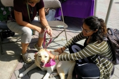 2019.9.LehighU.SafetyHealthFair.HANNAH