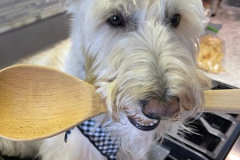 2023.Paw-sta-Dinner.MONTY